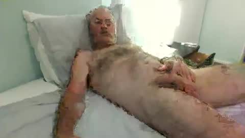 auckland26 online show from 12.02.25