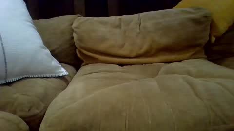 Snapshot of averagecock696969 chatting on 02.23.25 averagecock696969 online show from 02.23.25