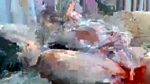 averagejoe2025 online show from 11.18.25