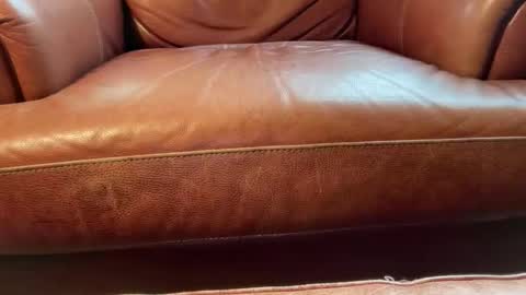 avgdiver online show from 01.18.26