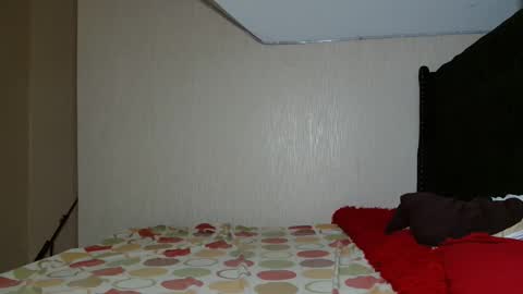 Snapshot of avian_talya chatting on 11.02.25 Avian online show from 11.02.25