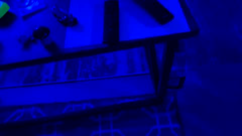 AylaTy online show from 09.28.25