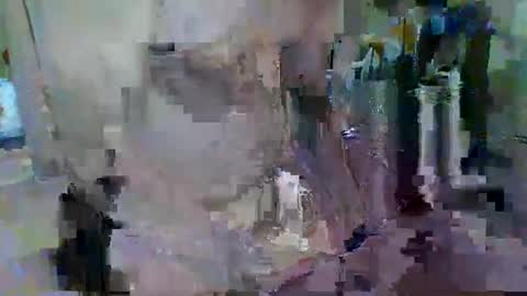 BERT online show from 05.28.26