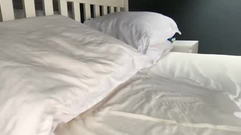 Snapshot of b1gd0ng1111 chatting on 09.17.25 b1gd0ng1111 online show from 09.17.25