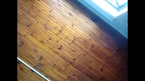 Snapshot of baby__p chatting on 02.26.26 Baby P online show from 02.26.26