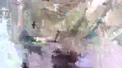 babymom1 online show from 03.07.25