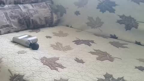 babymom1 online show from 03.09.25