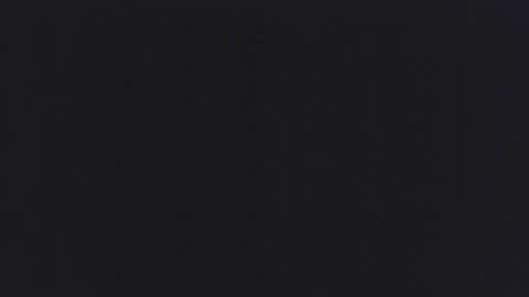 Snapshot of backchat14 chatting on 11.01.25 backchat14 online show from 11.01.25