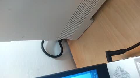 Badguy online show from 12.31.24