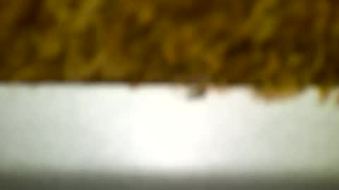 Snapshot of bagalan chatting on 12.19.24 Carlos online show from 12.19.24