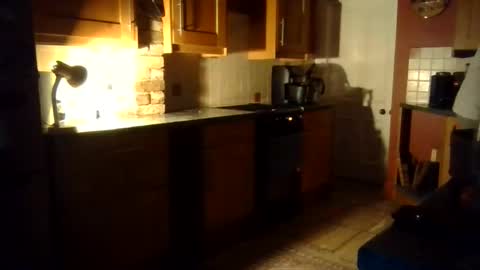 Snapshot of ballet_bears chatting on 11.02.25 Ballet Bear online show from 11.02.25