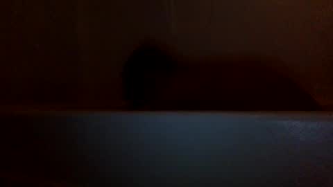 Snapshot of ballsbedraggin chatting on 12.05.24 lets fuck my cock online show from 12.05.24