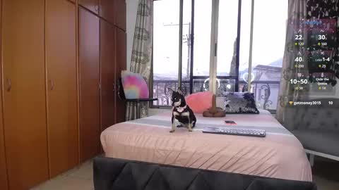 Barbiefoxx online show from 01.10.26