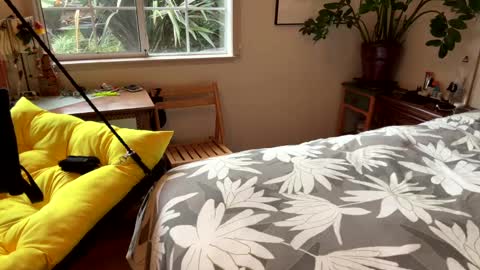 Tasten Spike online show from 12.20.24