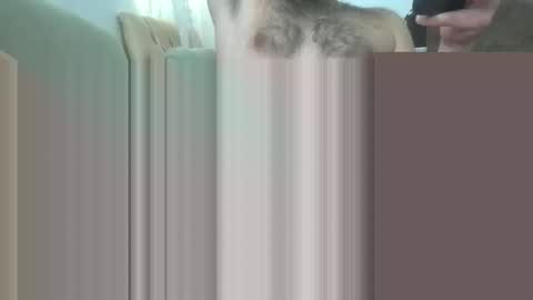 bathoneacock online show from 03.02.25