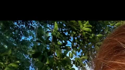 Battyredhair online show from 04.06.26