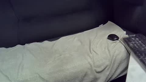 bbc_highness online show from 02.21.25