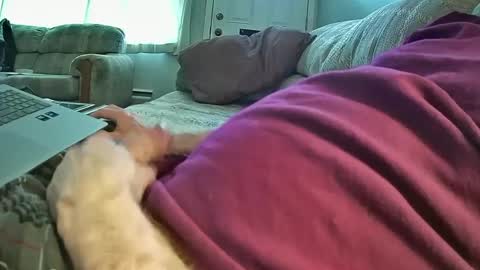 Snapshot of bcema2 chatting on 01.08.25 bcema2 online show from 01.08.25