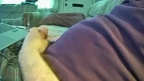 Snapshot of bcema2 chatting on 09.26.25 bcema2 online show from 09.26.25