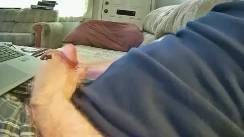 Snapshot of bcema2 chatting on 10.08.25 bcema2 online show from 10.08.25