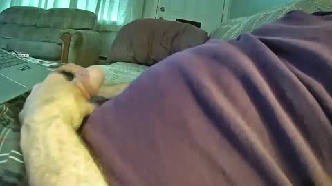 Snapshot of bcema2 chatting on 10.24.25 bcema2 online show from 10.24.25