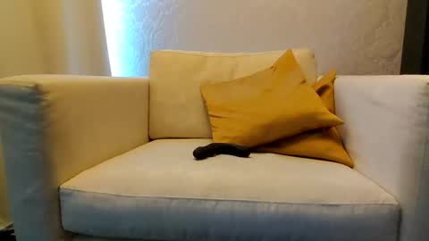 bd online show from 02.09.26