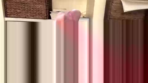 BeachGuy online show from 11.18.25