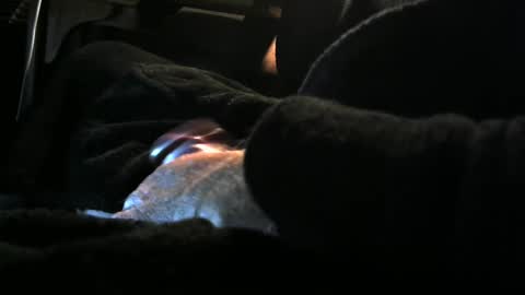 bear4146 online show from 12.08.24