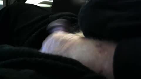 bear4146 online show from 03.28.26