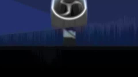 bear online show from 01.11.26