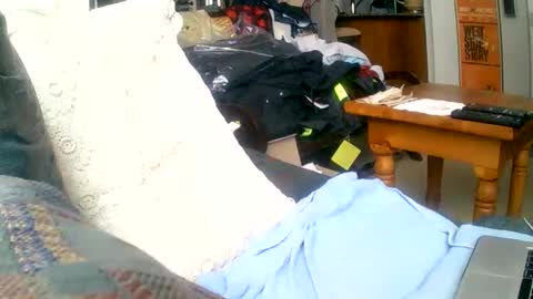 beardbushy online show from 12.01.24