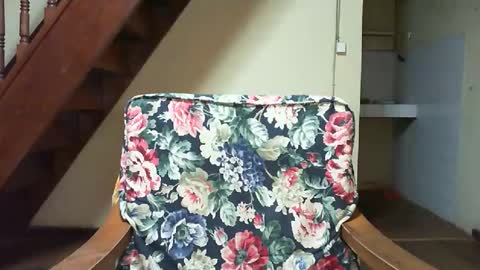 Eva online show from 02.22.26