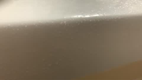 love2seeudear online show from 12.05.25