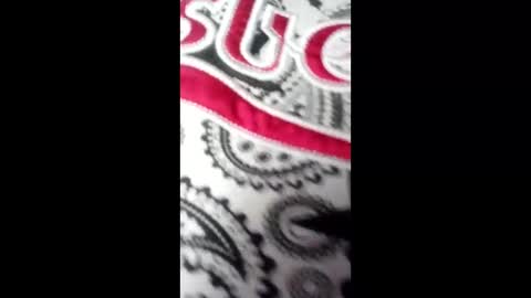 bebyhardsex online show from 03.17.26