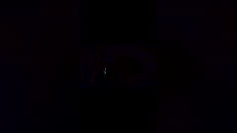 Chocolate Bee online show from 04.24.26