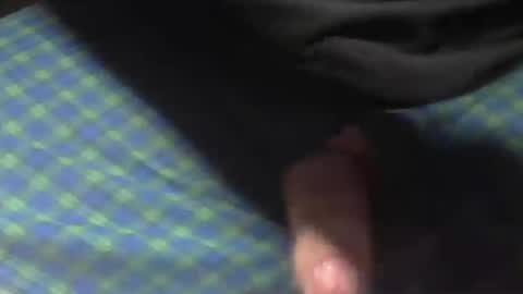  Reservoir Dogs online show from 11.09.25