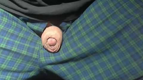  Reservoir Dogs online show from 02.15.26