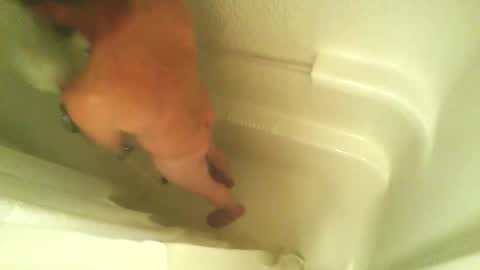 begme88 online show from 04.07.26