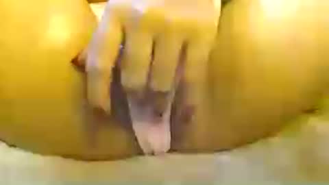 bellafox online show from 07.11.26