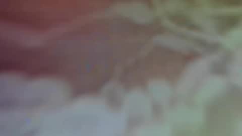 Bella Porch online show from 02.26.25