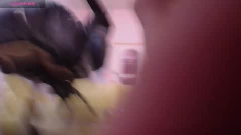 Bella online show from 03.28.26