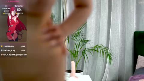 Belle online show from 02.12.25