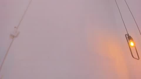 Snapshot of bellota_flak chatting on 12.28.24 Bellota Flak online show from 12.28.24