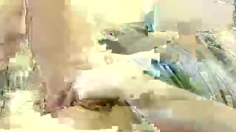 Benutzmich0800 online show from 12.08.24