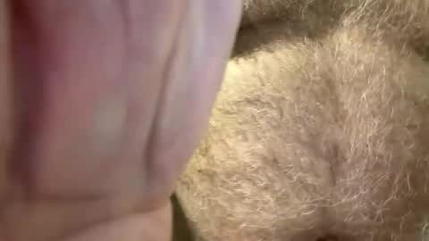 benz10001 online show from 04.14.26