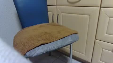 bernie6004 online show from 02.18.26