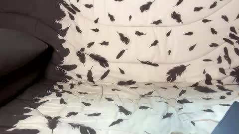 betterthanmen online show from 02.13.25