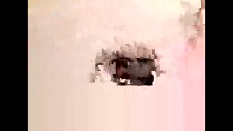 Cock arabic Authentic online show from 11.11.25