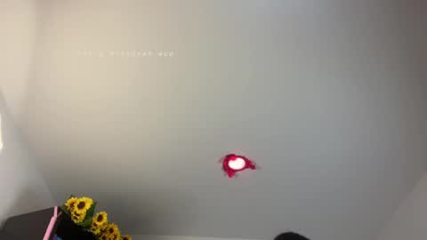 Bianca Mirage online show from 04.07.26