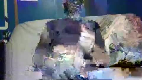 big9inchsnake online show from 12.09.24